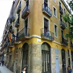 Hostal Nou Raval 3*, Barselona İspanya